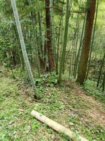 石川県金沢市山科町ソ