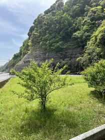 鹿児島県鹿児島市伊敷町