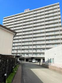 フラワーマンション江南