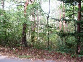 長野県北佐久郡軽井沢町大字追分