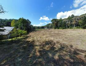 山梨県北杜市大泉町谷戸