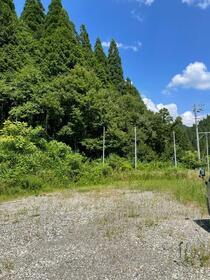 岐阜県郡上市八幡町初音