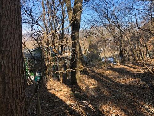 Land, Yamanakako Village, Yamanashi