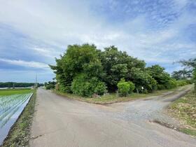 栃木県下野市小金井