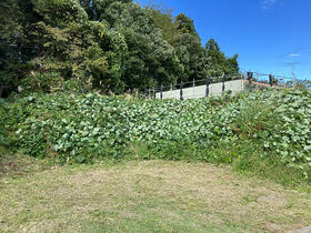 長野県上水内郡飯綱町大字豊野