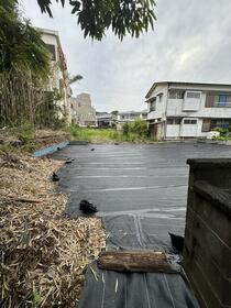 静岡県下田市白浜