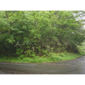 静岡県裾野市須山