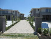 Ｂｅｌｌｉｓｓｉｍｏのイメージ