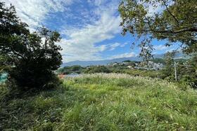 神奈川県足柄下郡真鶴町真鶴