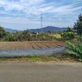 茨城県つくば市栗原