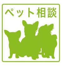 北海道札幌市白石区栄通１３丁目（賃貸マンション1LDK・4階・34.99㎡） その16