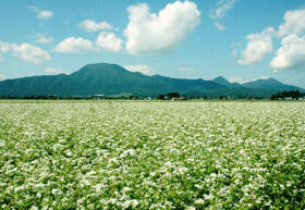 ＮＯＬＬ　ｖｉｌｌａｇｅ 03 ｜ 岩手県紫波郡紫波町東長岡字竹洞（賃貸アパート2LDK・1階・70.27㎡） その11