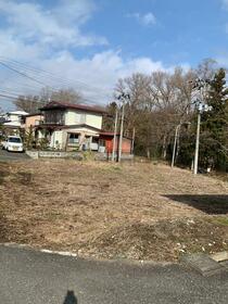 岩手県奥州市水沢真城字南上野