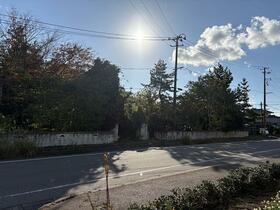 新潟県新潟市南区白根四ツ興野