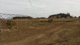 茨城県つくば市手代木