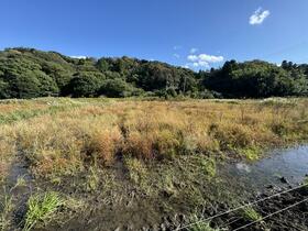 千葉県木更津市大久保