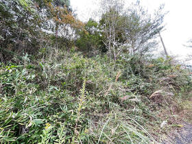 滋賀県東近江市蒲生寺町