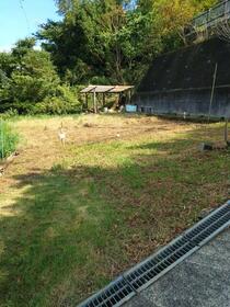 静岡県伊豆の国市大仁