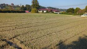 宮城県登米市迫町北方字金ケ森