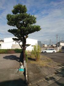 愛知県西尾市一色町味浜中乾地