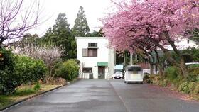 静岡県賀茂郡東伊豆町奈良本