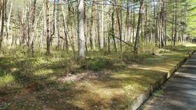 長野県大町市平