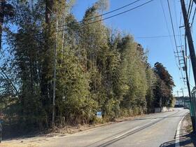 千葉県山武郡芝山町岩山