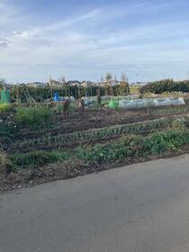 埼玉県狭山市大字水野