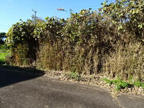 茨城県鹿嶋市大字青塚