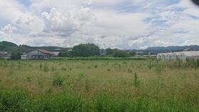 宮崎県東諸県郡綾町大字入野