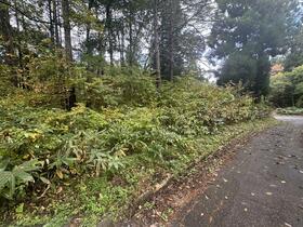 長野県上水内郡信濃町大字柏原