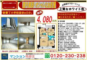 アルファステイツ錦町