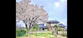 大分県中津市大字大新田