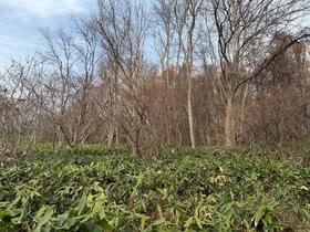 北海道小樽市梅ケ枝町