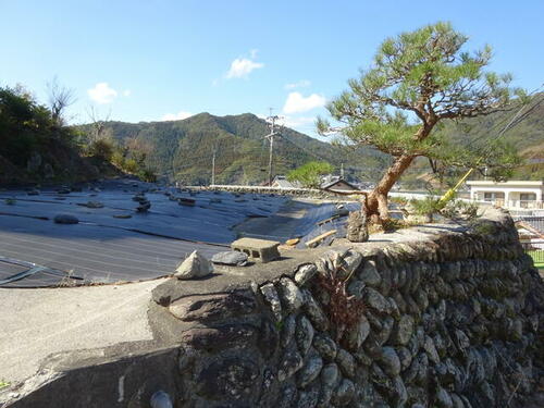 Land, Saiki, Oita