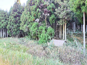 京都府京都市右京区京北細野町久留尾北