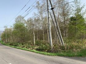 北海道亀田郡七飯町字上軍川