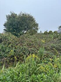 千葉県長生郡長生村一松丙