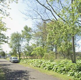 北海道白老郡白老町字北吉原