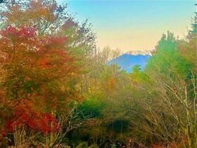 リセス山中湖