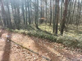 長野県諏訪郡富士見町立沢広原