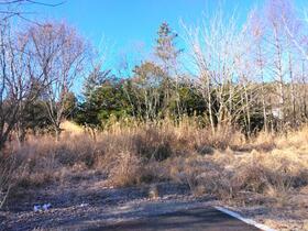 山梨県富士吉田市松山