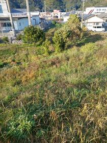 大分県佐伯市大字鶴望