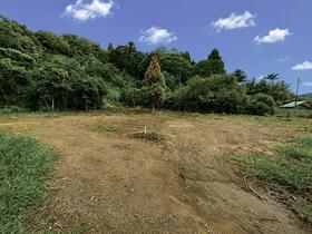 千葉県南房総市千倉町南朝夷