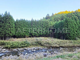 京都府京都市右京区京北細野町下ノ本