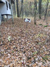 群馬県吾妻郡長野原町大字北軽井沢