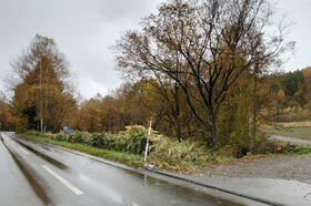 北海道上川郡美瑛町字三笠