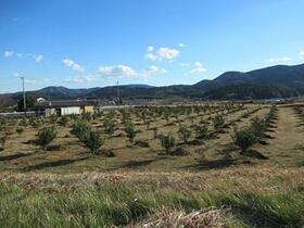 茨城県石岡市小幡