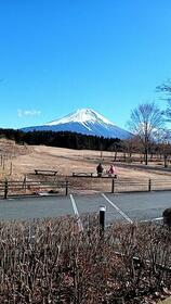 detached 山梨県南都留郡富士河口湖町富士ヶ嶺