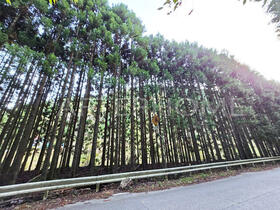 京都府京都市右京区京北細野町尾山
